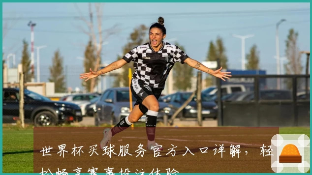 世界杯买球服务官方入口详解，轻松畅享赛事投注体验