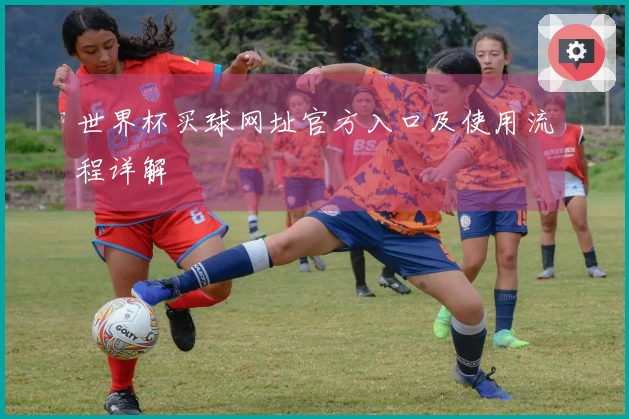 世界杯买球网址官方入口及使用流程详解
