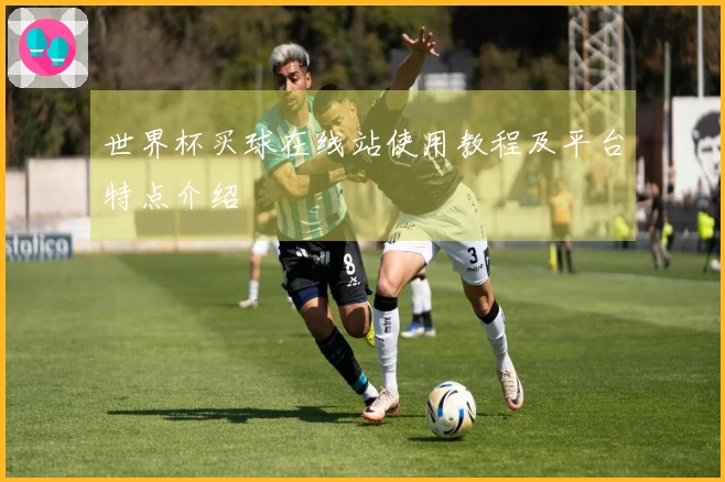 世界杯买球在线站使用教程及平台特点介绍