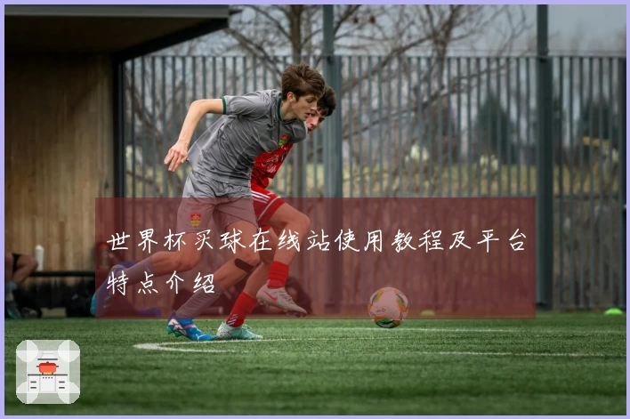 世界杯买球在线站使用教程及平台特点介绍