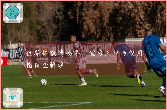 世界杯激情畅享，官方入口与使用指南全解读