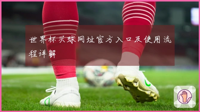 世界杯买球网址官方入口及使用流程详解