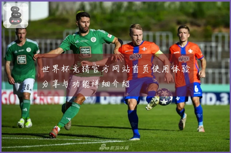 世界杯竞猜官方网站首页使用体验分享与功能详细介绍