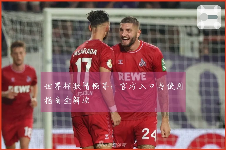 世界杯激情畅享，官方入口与使用指南全解读