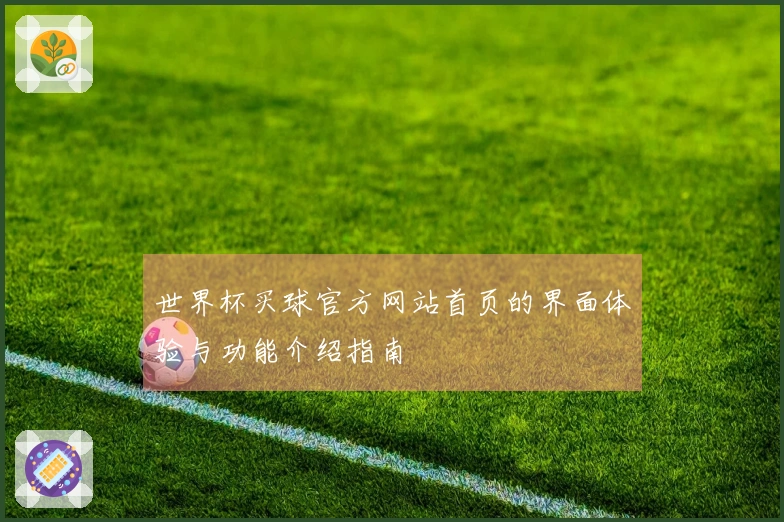 世界杯买球官方网站首页的界面体验与功能介绍指南