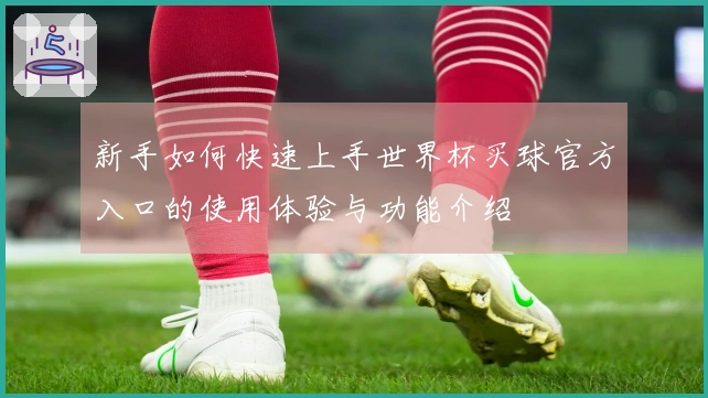 新手如何快速上手世界杯买球官方入口的使用体验与功能介绍