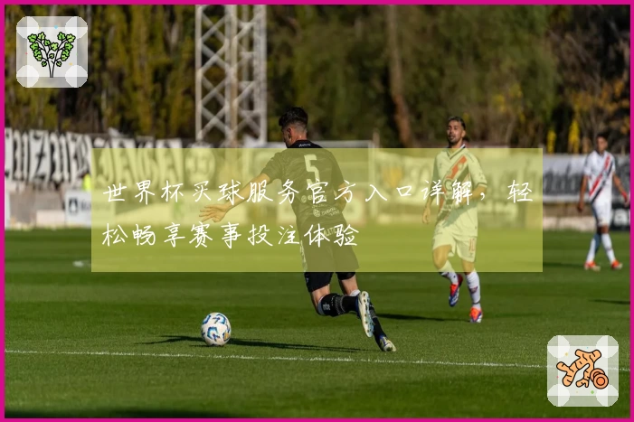 世界杯买球服务官方入口详解，轻松畅享赛事投注体验