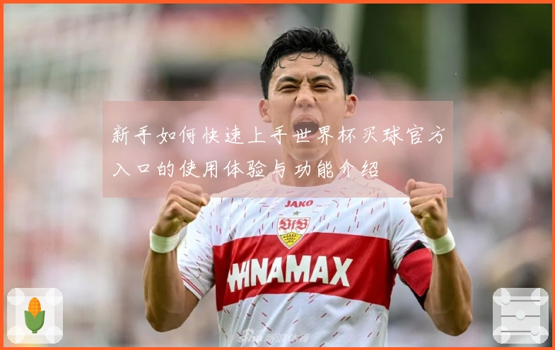 新手如何快速上手世界杯买球官方入口的使用体验与功能介绍