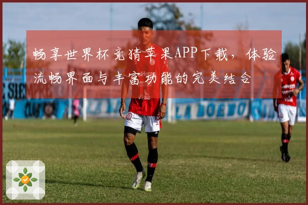 畅享世界杯竞猜苹果APP下载，体验流畅界面与丰富功能的完美结合