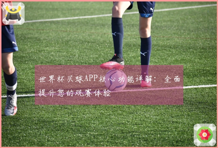 世界杯买球APP核心功能详解：全面提升您的观赛体验