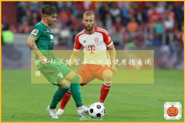世界杯买球官方入口及使用指南说明